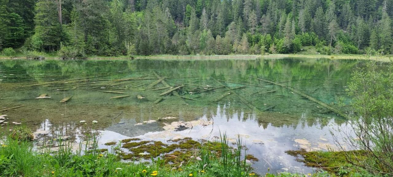 Ferienwohnung Ela Reutte Dış mekan fotoğraf
